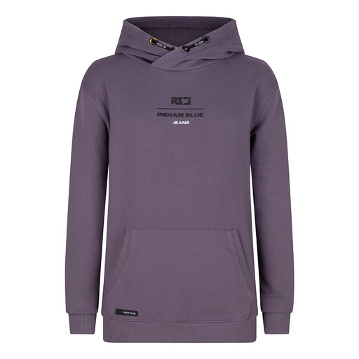 [Indian Blue Jeans ibbw23-4592] (boys Hoodie Ibj Hood Dust purple) 037509