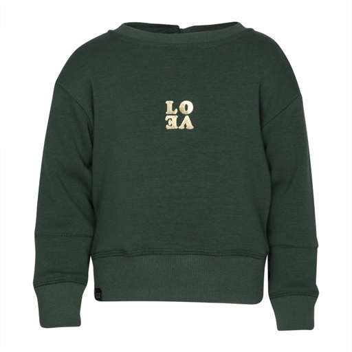 [Kiezeltje kz9067] (girls Sweater Sonja Green) 037703