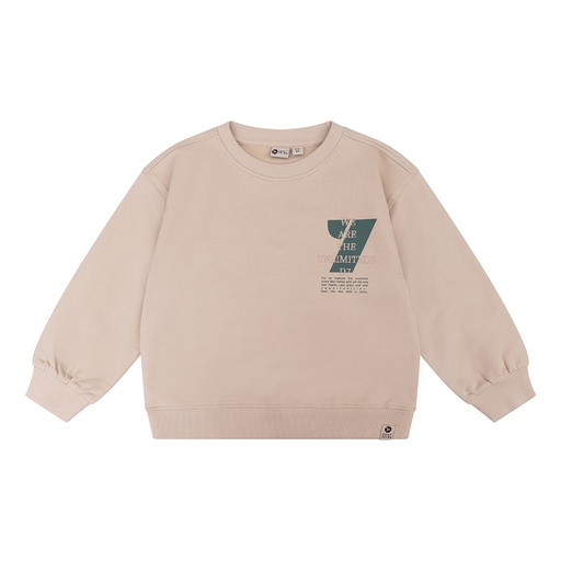 [Daily7 D7B-W23-4502/911] (boys Organic Sweater Oversized  Kit) 038029