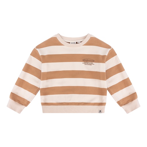 [Daily7 D7B-W23-4512/742] (boys Organic Sweaterstripeoversized Hazelnut) 038032